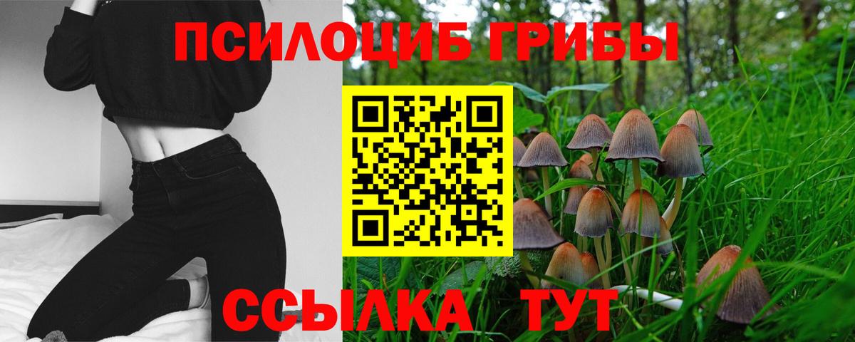 Галлюциногенные грибы прущие грибы  Вход с VPN  Галлюциногенные грибы MAGIC MUSHROOMS  Боровичи 